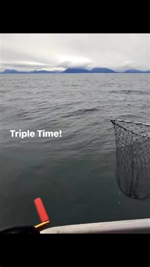 Homer King Fishing on Reels