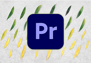 Cómo instalar transiciones en Premiere Pro | Envato Tuts