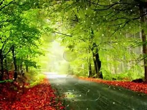 Find Us Faithful - Steve Green Minus One (Instrumentals)