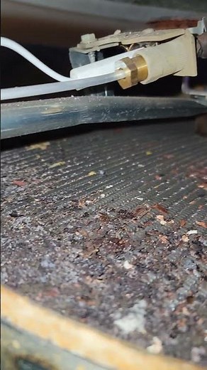 Cleaning the combustion chamber and air intake of a bradford white water heater