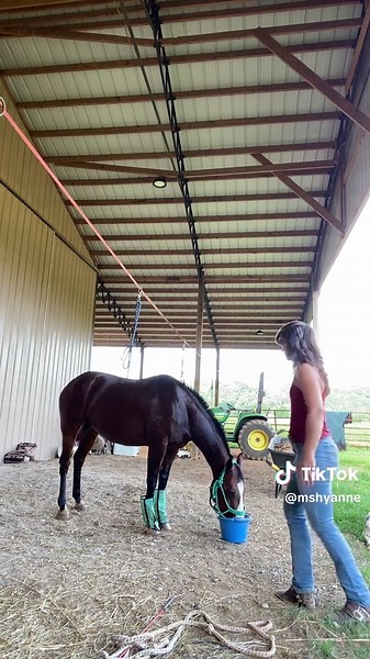 Ready to Line Dance: Join the Fun!