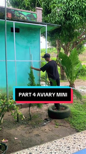 Building a Simple Mini Aviary