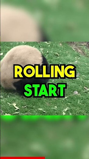 3 podcast intro examples in 60 seconds