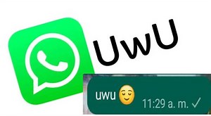 WhatsApp: ¿Qué es "uwu" y por qué ha trascendido en el tiempo?