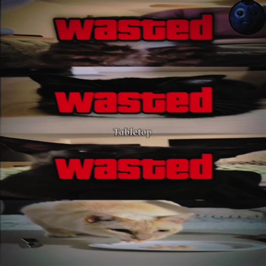 Best Bluey Edit Featuring Super Fenix Ritmada