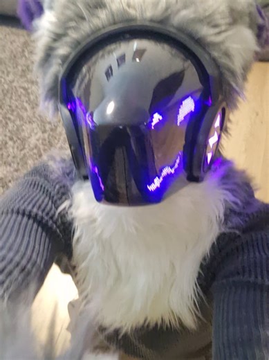 Can me get some more pls! 👉🏻👈🏻 #furry #protogen #fyp #protogenchip #cute