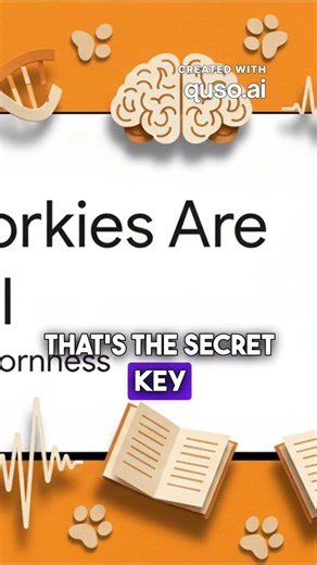 Foolproof 4-Step Yorkie Potty Plan - How To Pottytrain Your Yorkie - Yorkshire Terrier