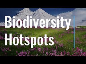 Biodiversity Hotspots