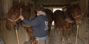 Grown Here at Home: Floyd forester gives history of Suffolk horses