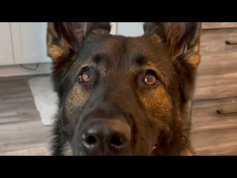 When Mom needs help!