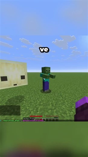 MINECRAFT'TAKİ BU OLAY HATA MI?