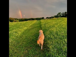 Mary Chapin Carpenter - Songs From Home Episode 20: I Take My Chances