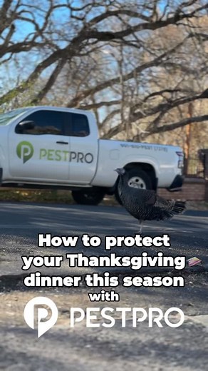 🦃Happy Thanksgiving from Pest Pro!🦃 Q: Why did the turkey cross the road? A: Because our turkey repellant treatment did its job, that’s why! Turkey should be on your terms this year. Call us if it’s not. 801-810-PEST (7378) | Pest Pro Pest Control