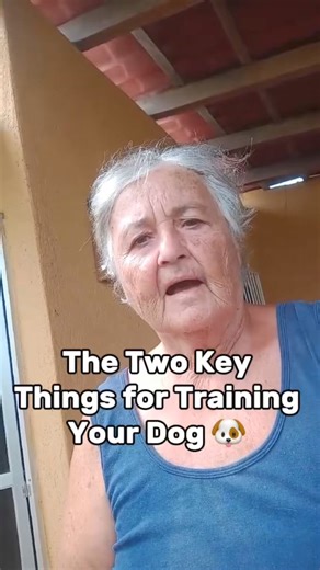 85K views · 1.2K reactions |  Only 2 things that make your dog listen - this reel unlocks the SECRET to a well-behaved pup! Stop the frustration & discover the surprising key to communication. Need more help? Comment ‘TRAINING’ for personalized advice!  #DogListening #DogTrainingTips #HappyDogs #PetCare #DogBehavior #DogLovers #InstaDogs#TrainingSuccess #BetterBonding #dogtrainingtricks #dogtrainingtips | The Logical Dog | Facebook