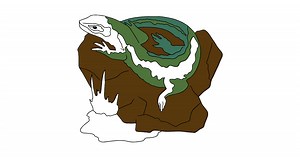 Printable A Lizard is Soaking up the Sun Coloring Page