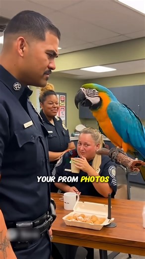Talking parrots having fun with cops 😂🎤 #talkingparrot #funnyparrot | Doodle the parrot