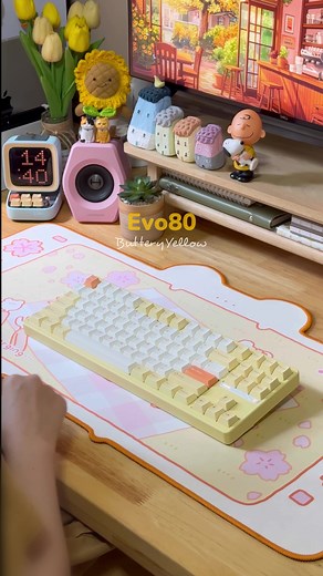 Introducing the Evo80 Thocky Keyboard by Evoworks