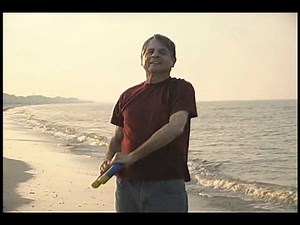 Taylor More Synergetics