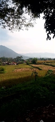 great#natural view# quit