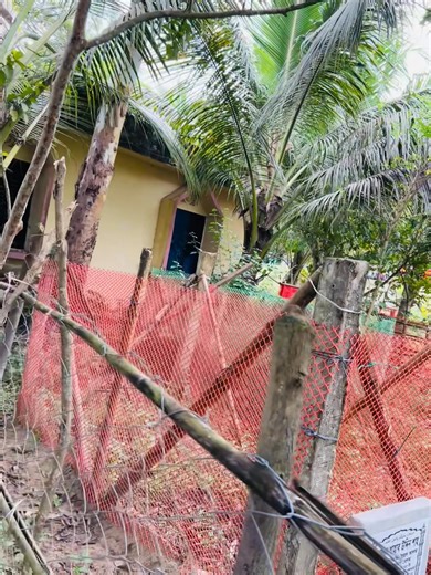 Harun Ur Rashid on Reels