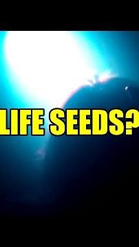Comets: Earth's Life Seeds?