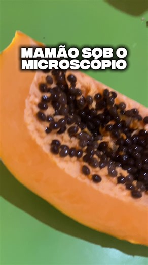 Micro câmera no TikTok