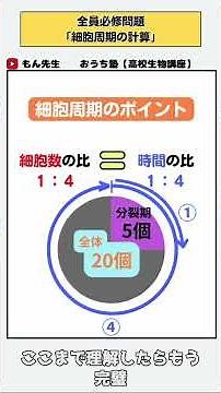 やさしい生物解説！簡単に細胞周期の時間を計算する方法！！#生物 #高校生 #生物基礎 #受験 #テスト #もん先生 #勉強 #塾 #冬休み