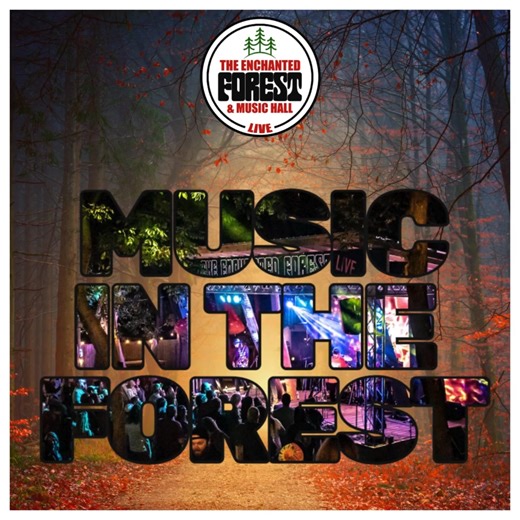 Listening to Music in the Forest is just.....better! | The Enchanted Forest & Music Hall | Facebook