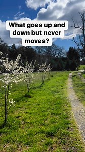 What goes up and down but never moves? #reels #riddle | Sick Twisted Humor