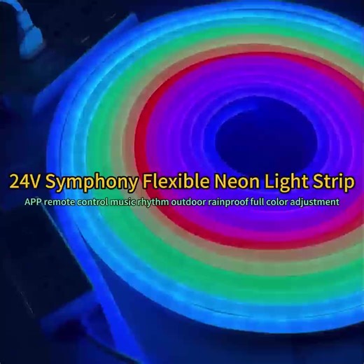 24V Neon LED Light Strip Flexible Full Color RGBIC Led Light Strip Rainproof Remote Control APP Dimming Smart Strip Lights