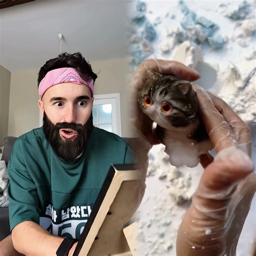 I Traveled 10 Years into the Past to Save the Blue Tade