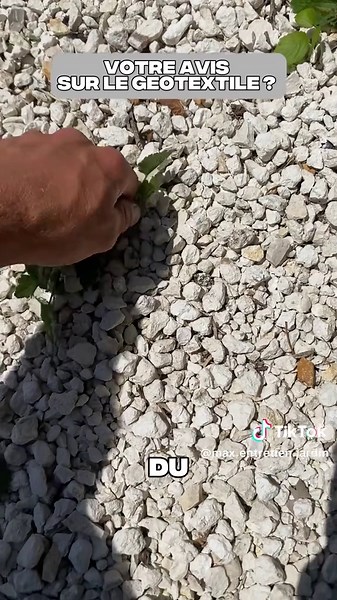 Pour ou Contre le geotextile pour éviter les mauvaises herbes ? 🌿 #jardinage #entretien #entretienjardin #paysagiste #jardin