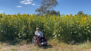 322K views · 10K reactions | Yesterday I took Daffy to the sunflower field and it was amazing 朗. Daffy absolutely loved seeing the sunflowers and said how happy she was that she went along because she did not know how big they grew. And the weather was perfect ☀️ There was no chance of getting Daffy any closer because she hates snakes   Oh and Dorothy made a little appearance ❤️ | Daffy's Wise Words | Facebook