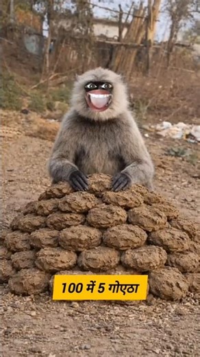 100 में 5 गौईठा 😂#comedy #rakesh_r0 #thetharpuns #comedyvideo