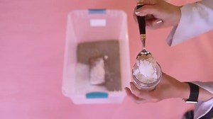 How to Grow Mushrooms: Yes, You Can Do It!