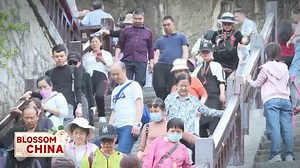 631K views · 984 reactions | From bustling cities to tranquil countryside.. From exquisite gardens to primitive forests… See China in full bloom. Each year, millions of tourists flock to appreciate China's spring blossoms, fueling local economies ... What do the flowers reveal about the country's #Environmental effort? How do the #flowers transform local communities? And… What hidden stories do these flowers tell? Let's dive into the magic of #blossom China. | Our World | Facebook