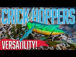 Crick Hopper Fishing: How to Use to Catch More Fish!