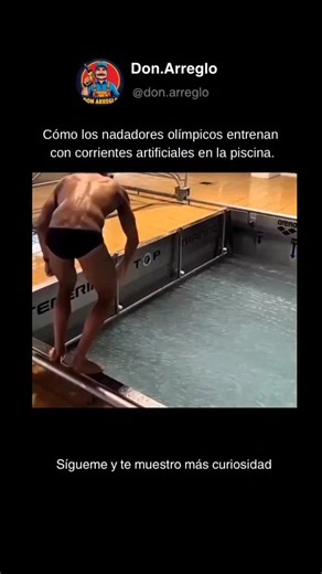Don.arreglo| Arreglos| Trucos| Curiosidades on Instagram: "Los nadadores olímpicos utilizan piscinas especialmente diseñadas para simular las condiciones reales de competición, yendo mucho más allá de un entrenamiento convencional. En estas instalaciones, los entrenadores pueden ajustar la velocidad de la corriente de agua de acuerdo con el ritmo objetivo del atleta o incluso superarlo, promoviendo el aumento de la resistencia y de la fuerza muscular. Durante los entrenamientos, la variación del