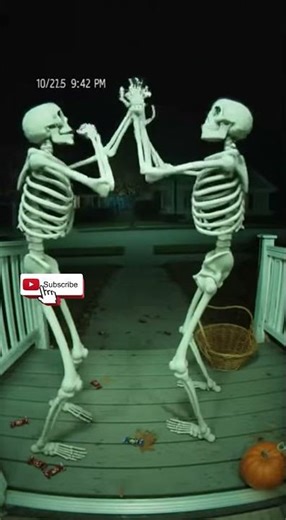 The Funniest Halloween Moments Ever Caught On Camera #funny #halloween
