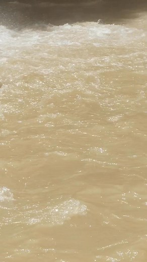 310K views · 2.4K reactions | Bullfrog yung pain! #bullfrog #hunting #fishing | Efren Ranido | Facebook