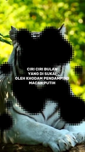 Khodam Pendamping Berdasarkan Bulan Lahir