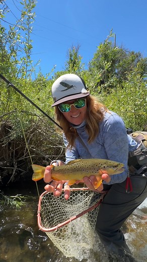 44 reactions · 15 shares | Check out these essential, beginner tips to getting the fish to bite while fly fishing. | Utah Division of Wildlife Resources | Facebook