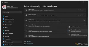 Cara Mengatur Default Command Line di Windows 11 Agar Tidak Menjadi Windows Terminal