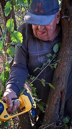 Top Tools for Garden Tree and Brush Clearing #garden #diy #gardentools #brushclearing #treecutting