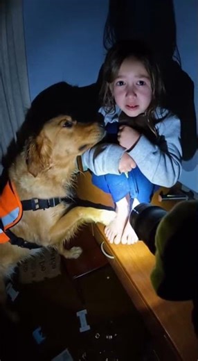 Dog Helps Firefighter 🥹