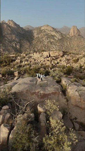 Saudi Arabia | Different Regions, Different Landscapes