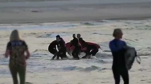 Surfer killed in shark attack on Australia's tourist Gold Coast