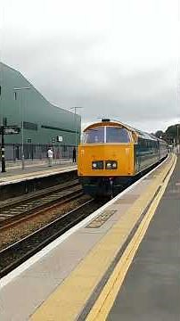 D1015 'Western Champion' passing Exeter St David