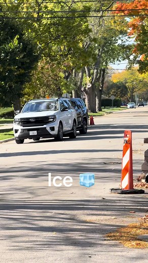 Landscaper Detained by ICE While Working in Skokie