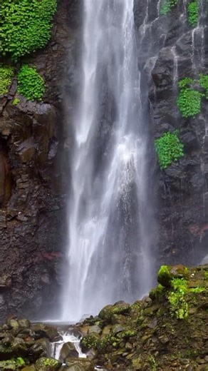 Discovering Bali’s Most Beautiful Hidden Waterfall! 🌴✨ (Pure Magic) #travel #mountains #nature